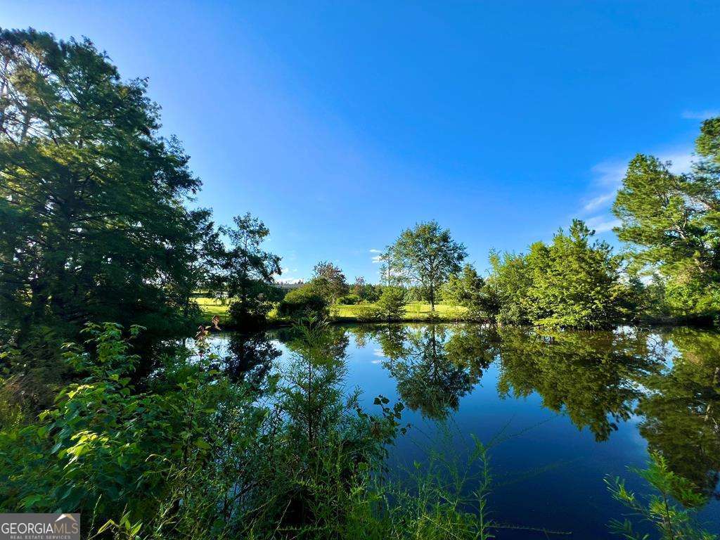 82 Cook Road Hazlehurst, GA 31539 - Photo 7 of 57