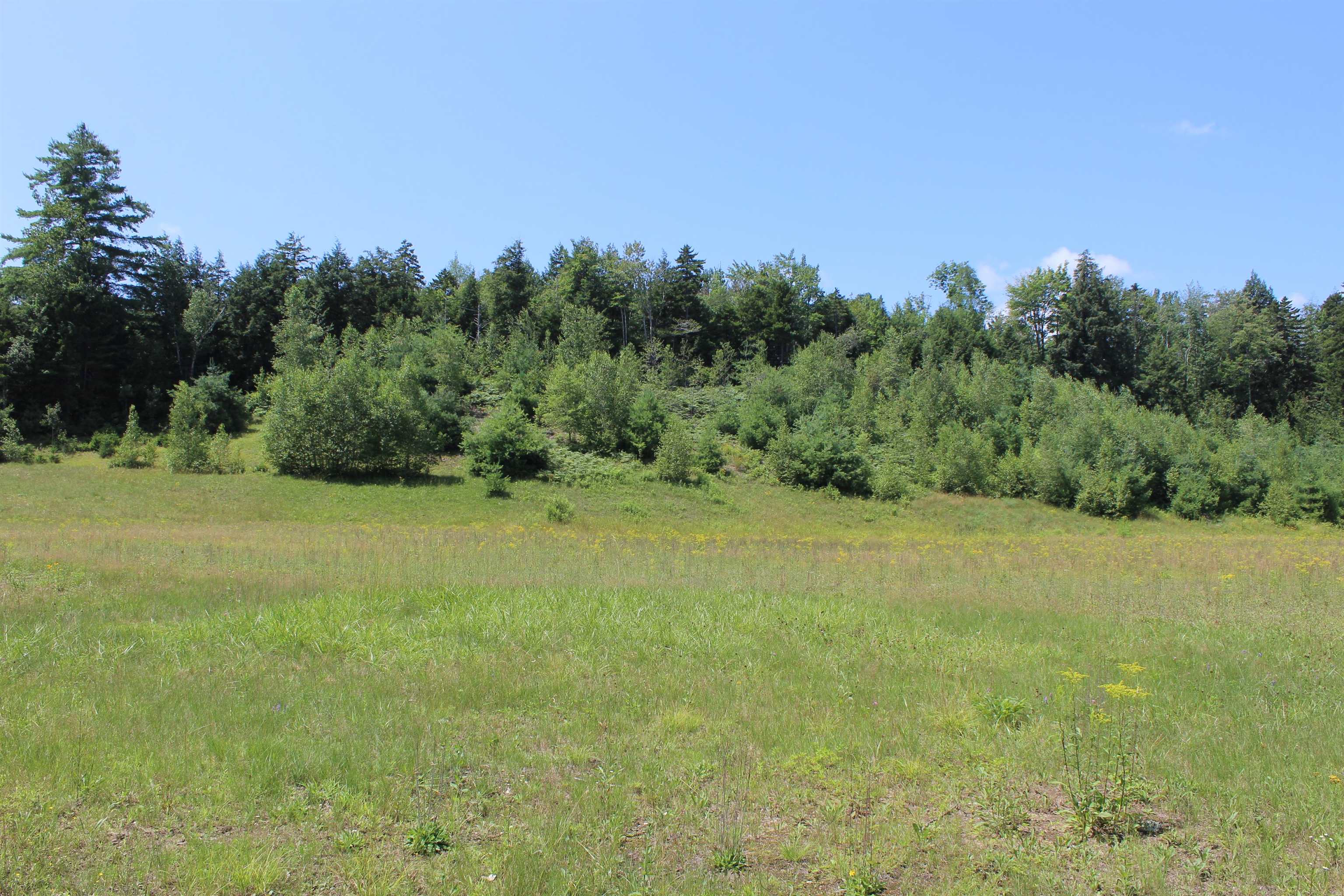 0 Leon Stocker Drive Stratton, VT 05360 - Photo 13 of 27