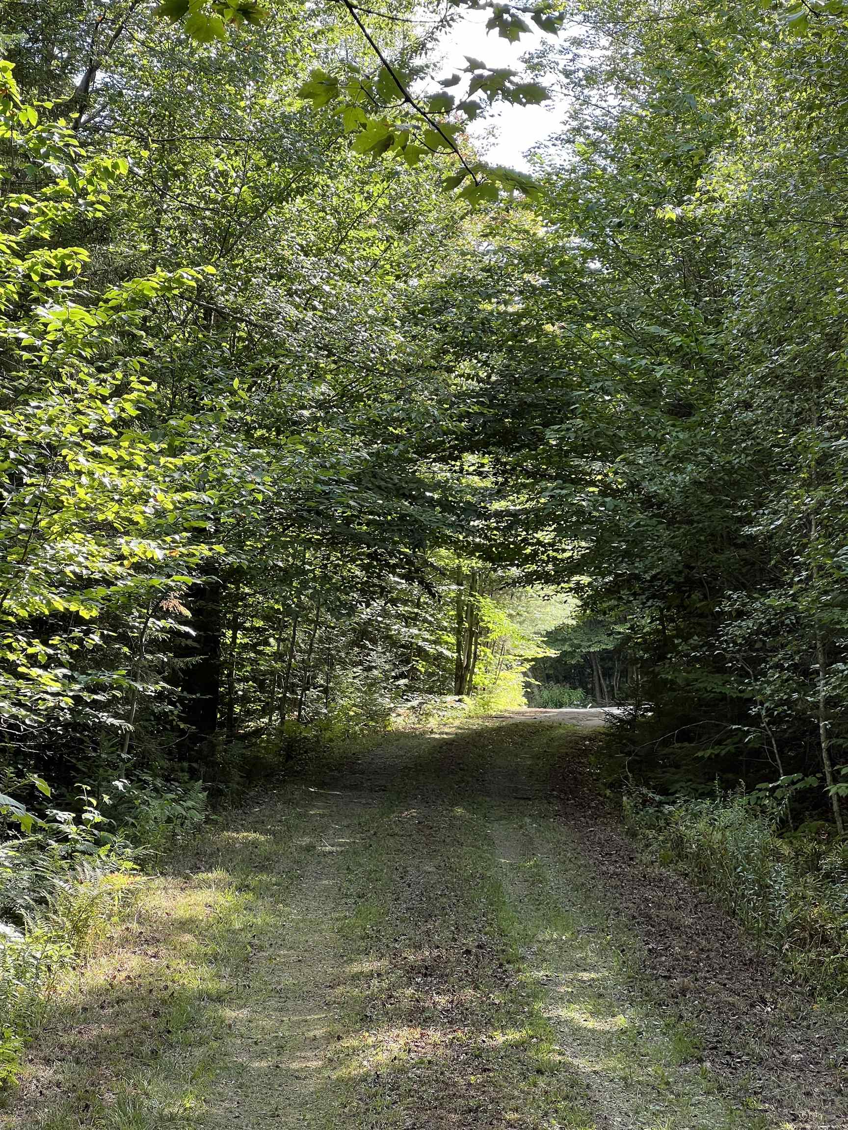 0 Leon Stocker Drive Stratton, VT 05360 - Photo 14 of 27