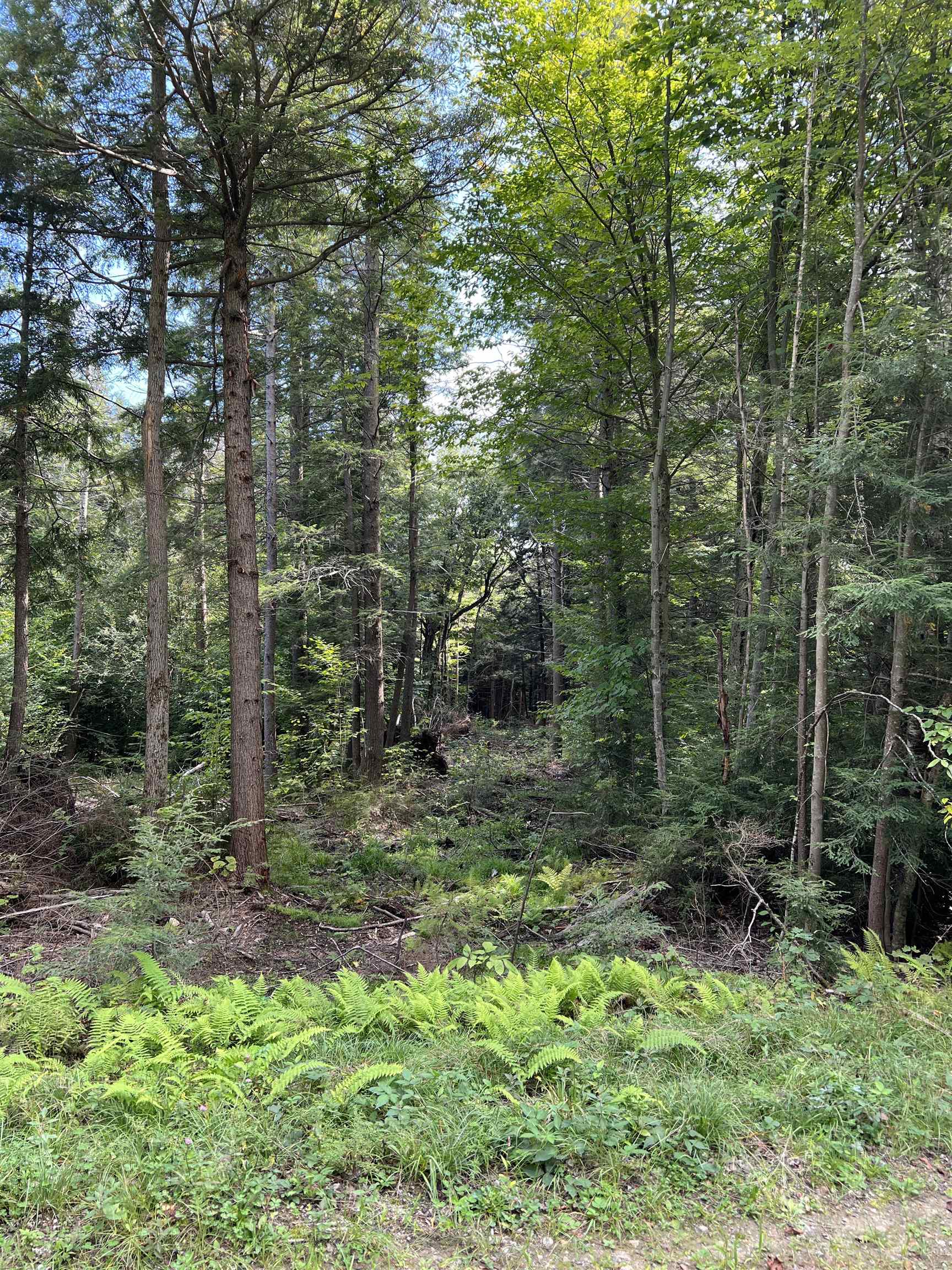 0 Leon Stocker Drive Stratton, VT 05360 - Photo 20 of 27