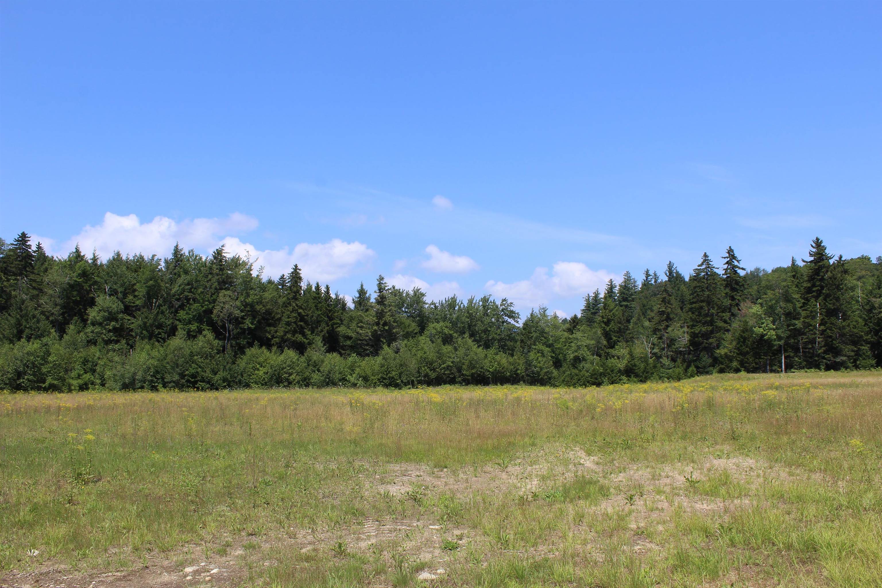 0 Leon Stocker Drive Stratton, VT 05360 - Photo 2 of 27