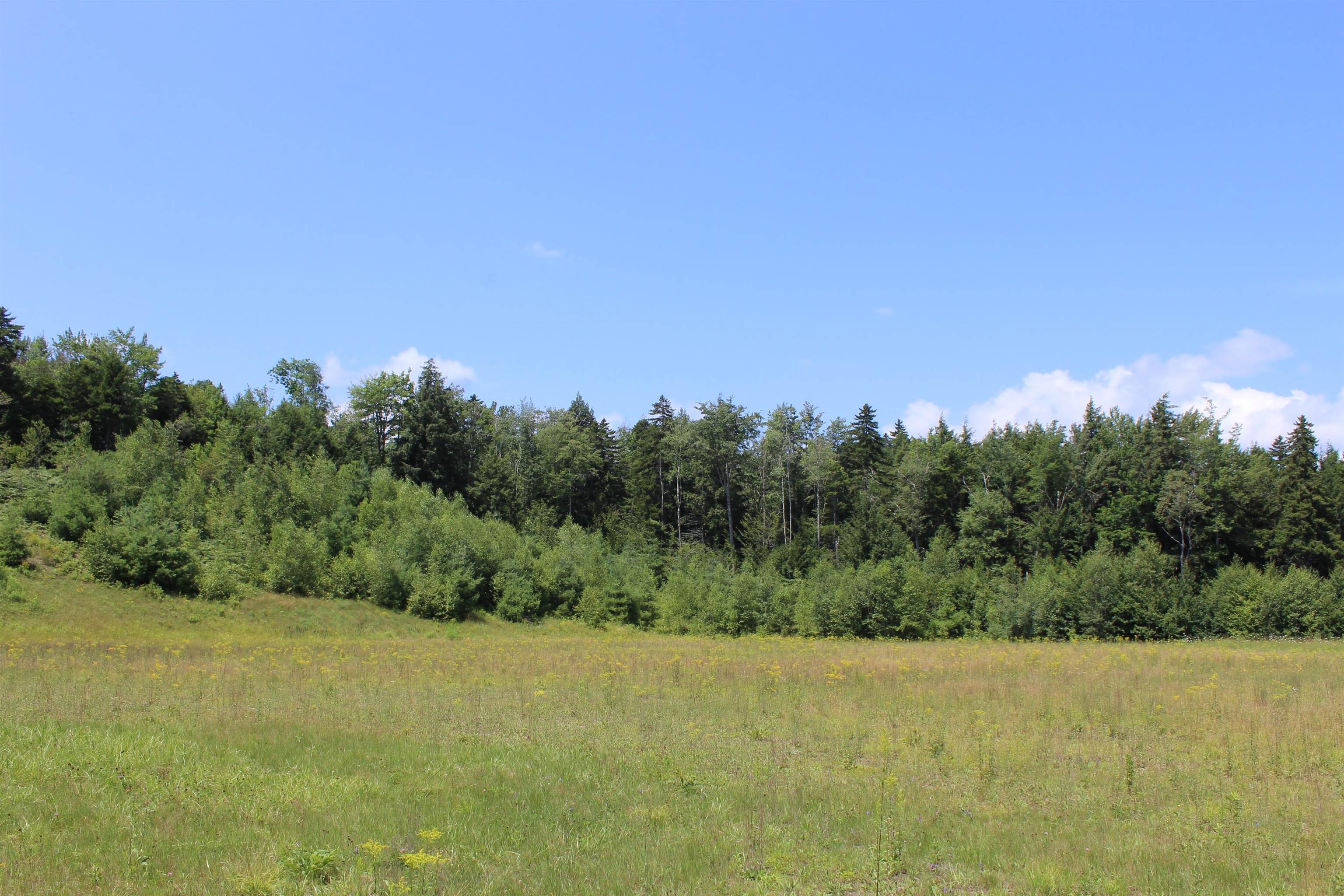 0 Leon Stocker Drive Stratton, VT 05360 - Photo 21 of 27