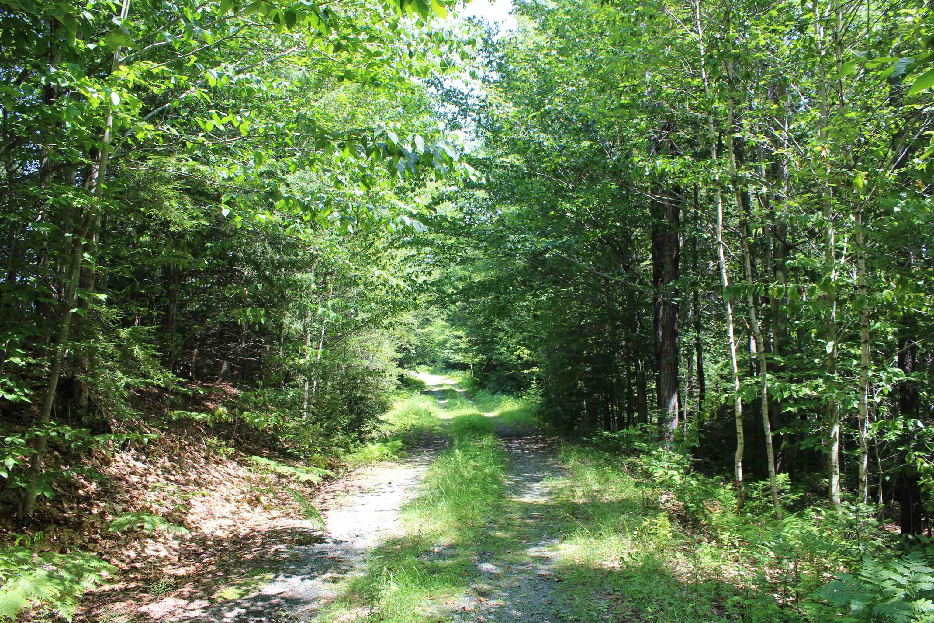 0 Leon Stocker Drive Stratton, VT 05360 - Photo 22 of 27