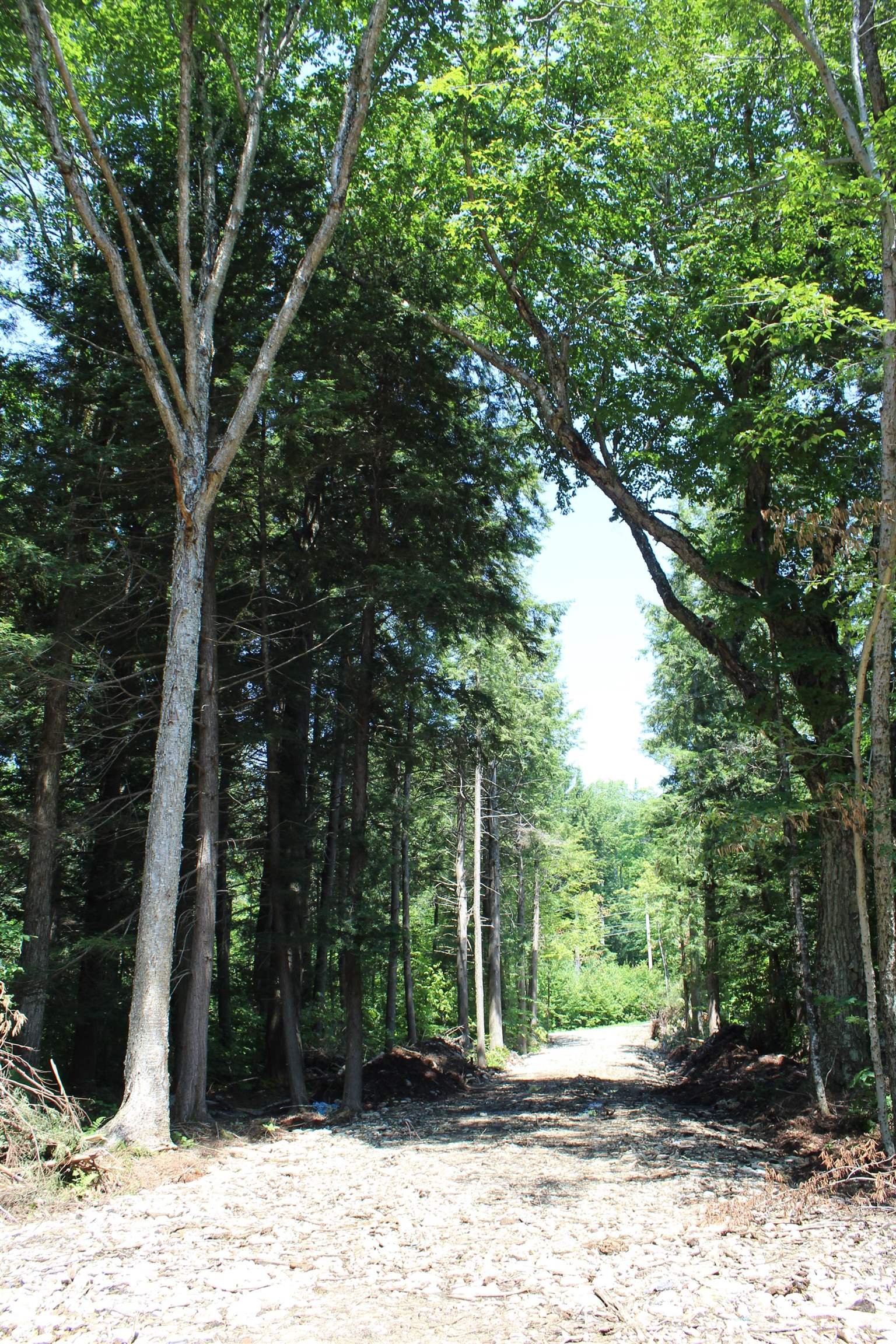 0 Leon Stocker Drive Stratton, VT 05360 - Photo 24 of 27