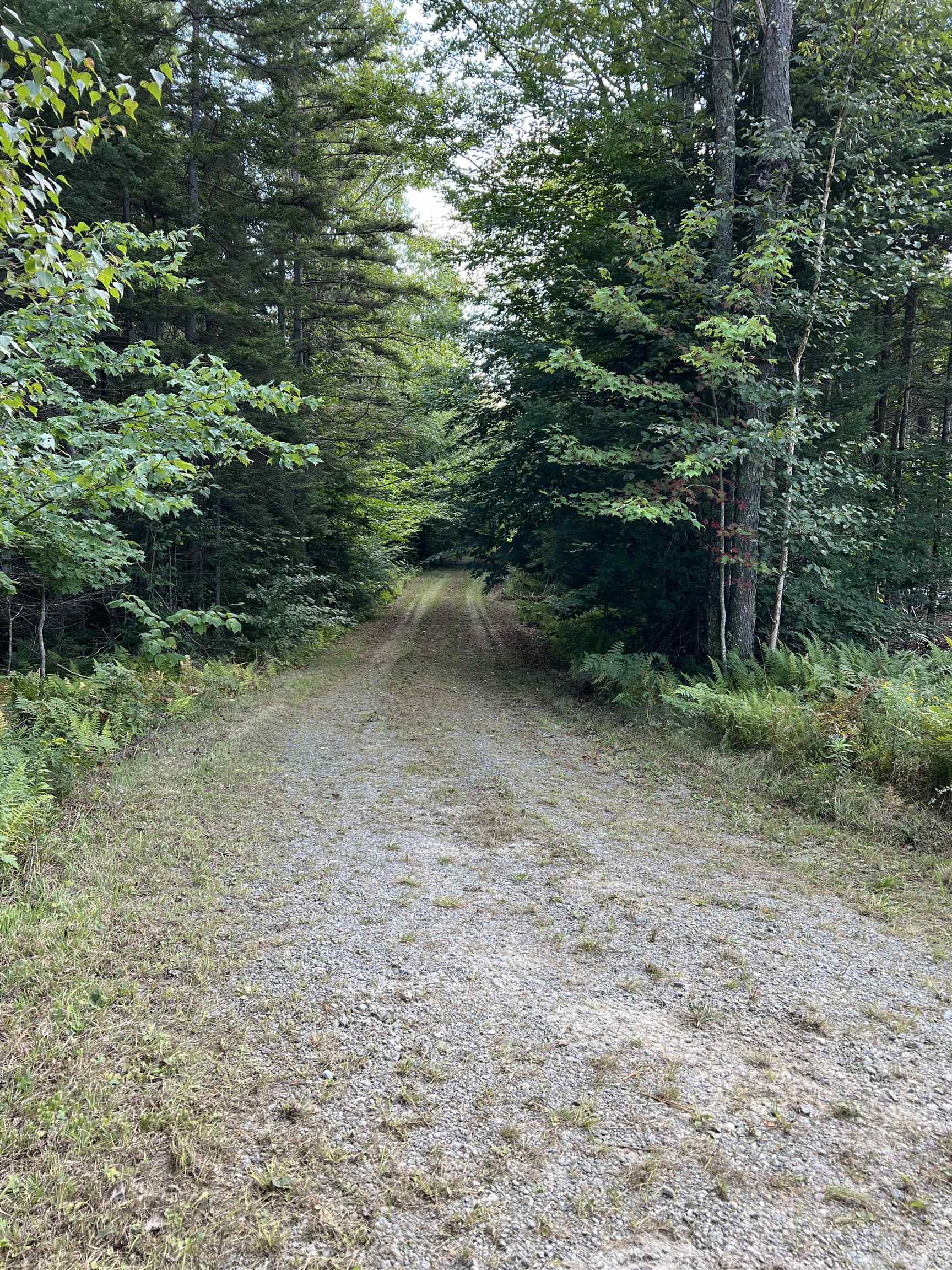 0 Leon Stocker Drive Stratton, VT 05360 - Photo 8 of 27