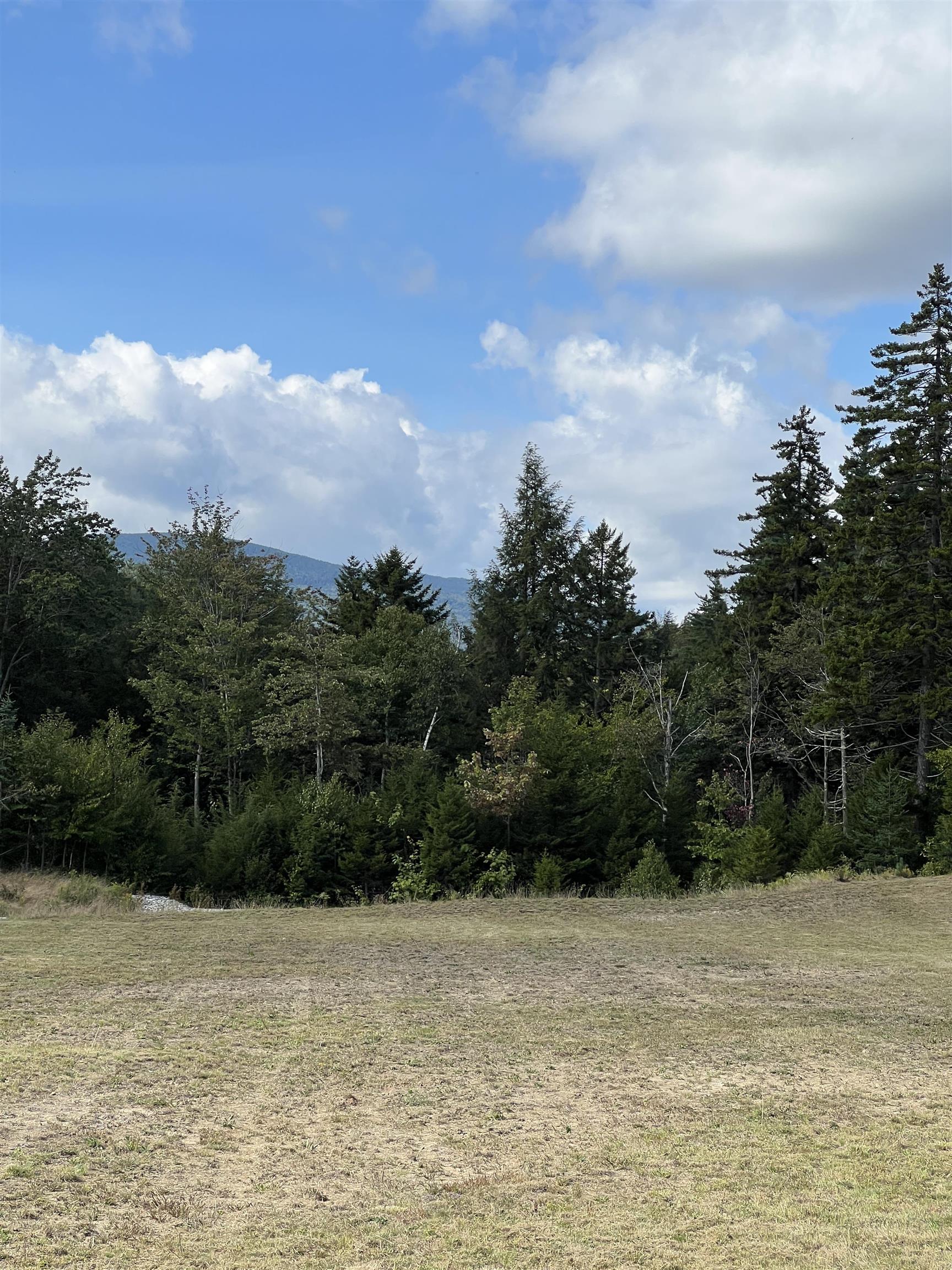0 Leon Stocker Drive Stratton, VT 05360 - Photo 9 of 27