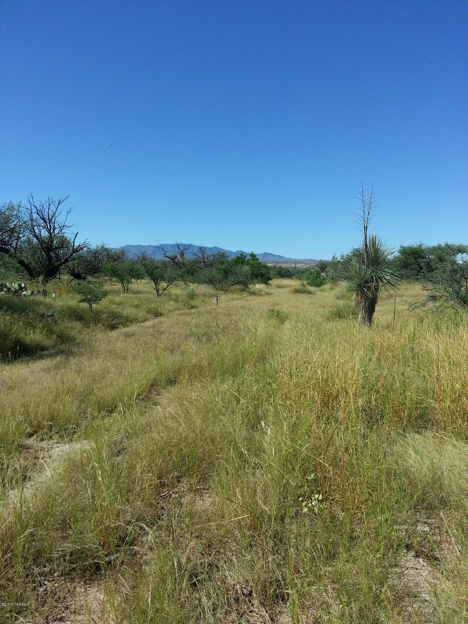 North San Pedro Ranch Road, Unit 24 Benson, AZ 85602 - Photo 9 of 16