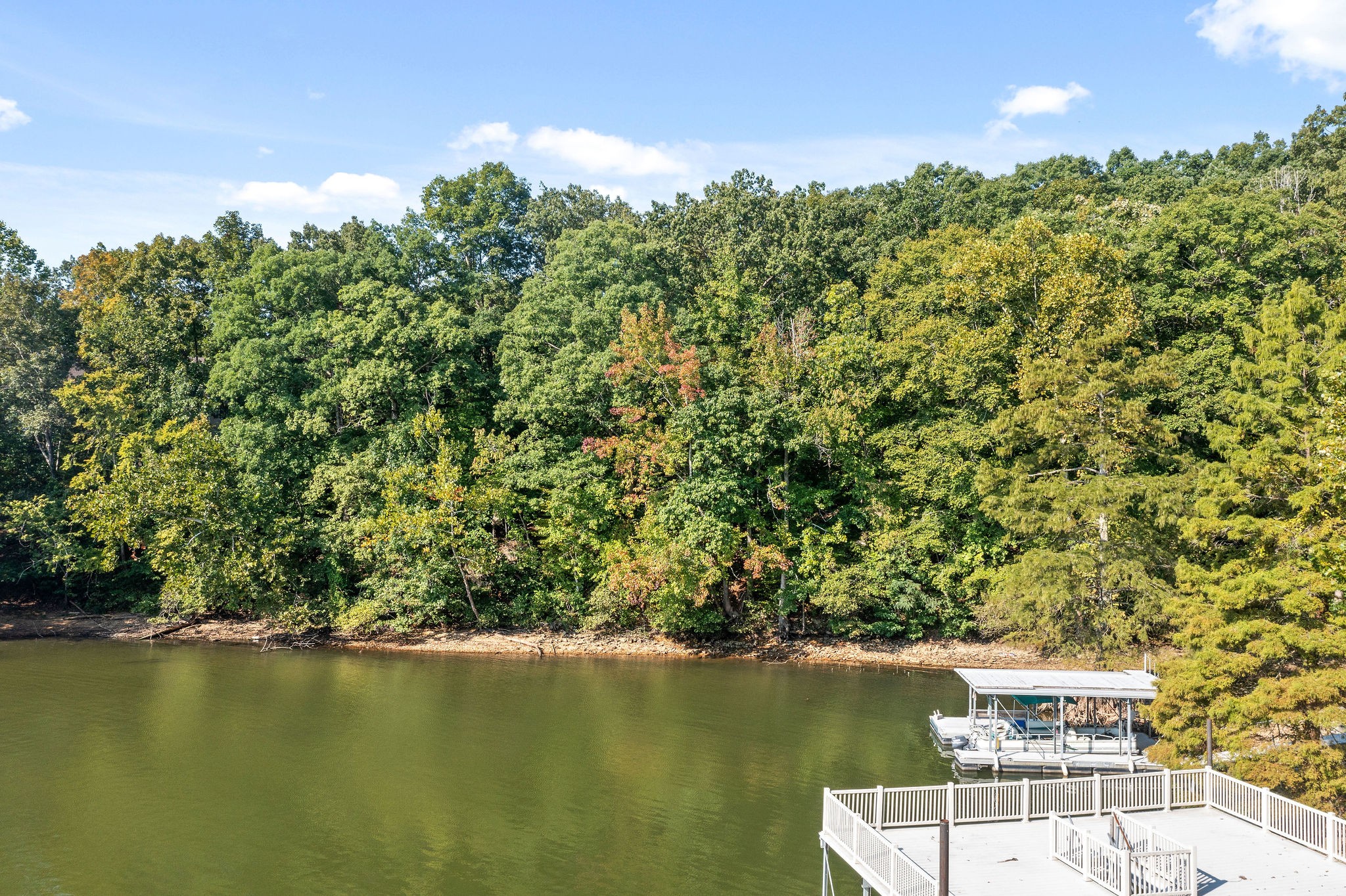 224 Standing Rock Cove Road Dover, TN 37058 - Photo 5 of 28 Gallery Image 5