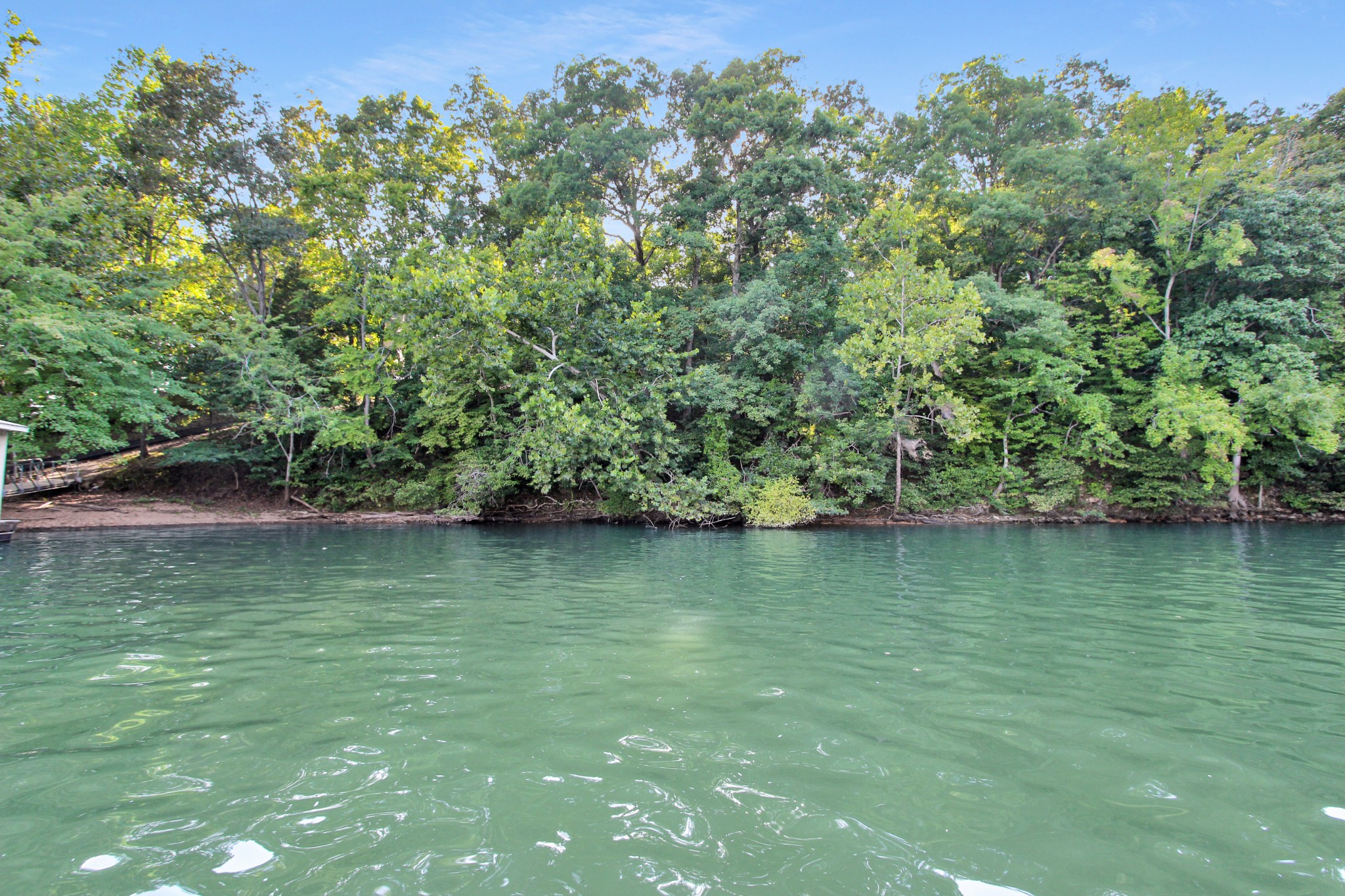 224 Standing Rock Cove Road Dover, TN 37058 - Photo 8 of 28 Gallery Image 8