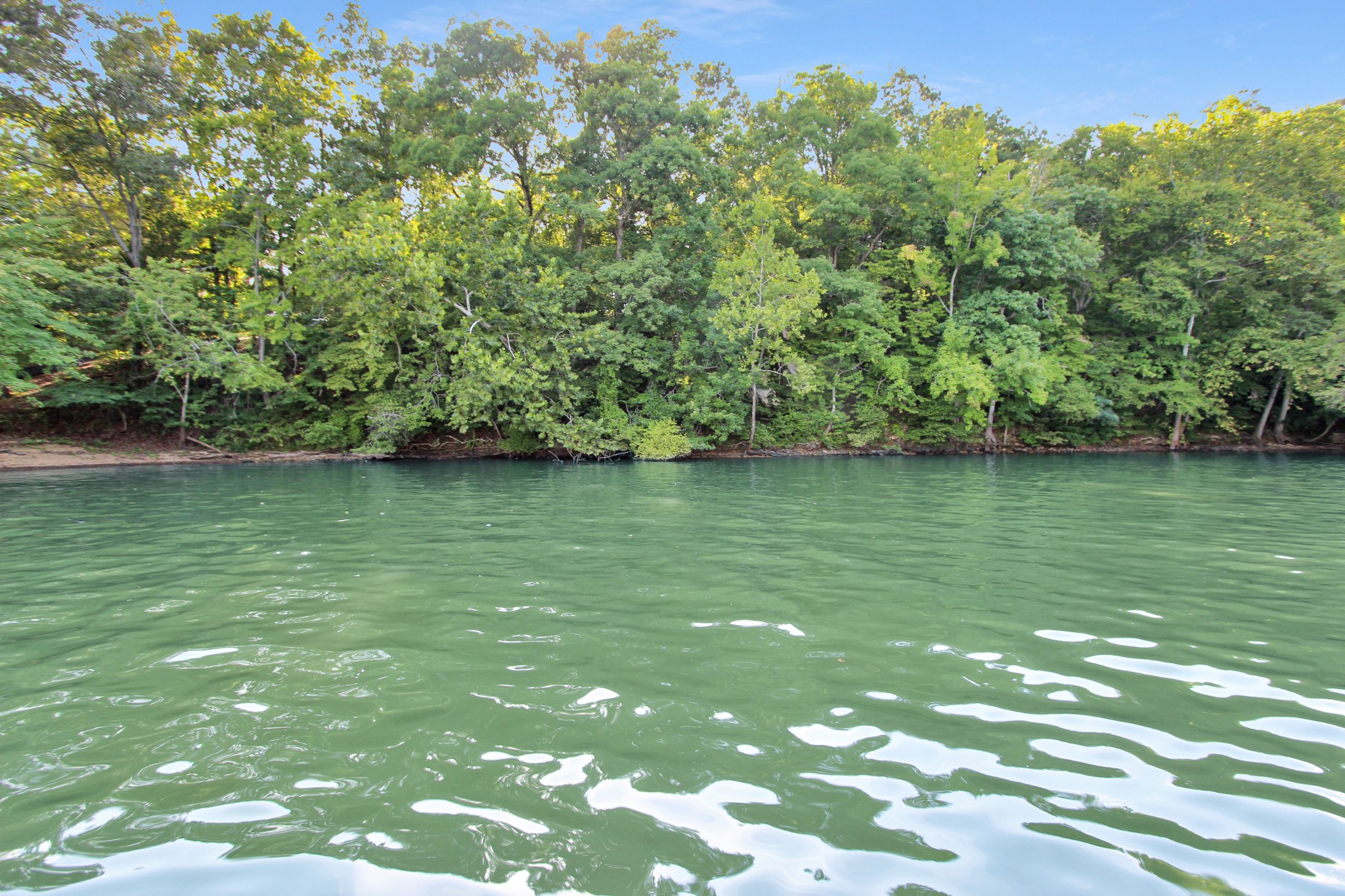224 Standing Rock Cove Road Dover, TN 37058 - Photo 9 of 28 Gallery Image 9