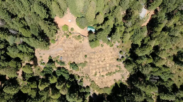 a view of a door and a wooden bridge
