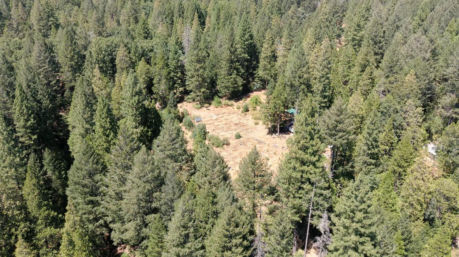 3772 Tin Ranch Road Georgetown, CA 95634 - Photo 2 of 13 a view of a yard