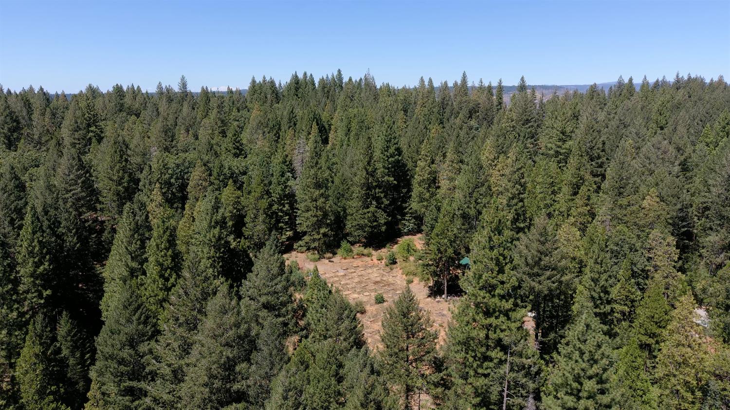 3772 Tin Ranch Road Georgetown, CA 95634 - Photo 3 of 13 a view of a forest with a forest