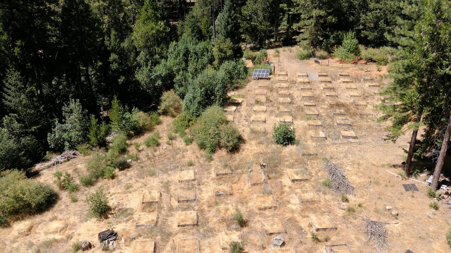 3772 Tin Ranch Road Georgetown, CA 95634 - Photo 4 of 13 a view of a yard with trees