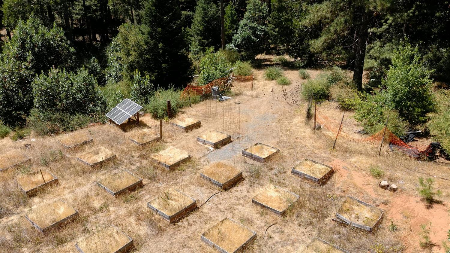 3772 Tin Ranch Road Georgetown, CA 95634 - Photo 5 of 13 a view of yard with trees