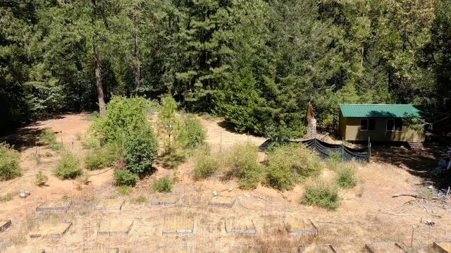 a view of a backyard of the house