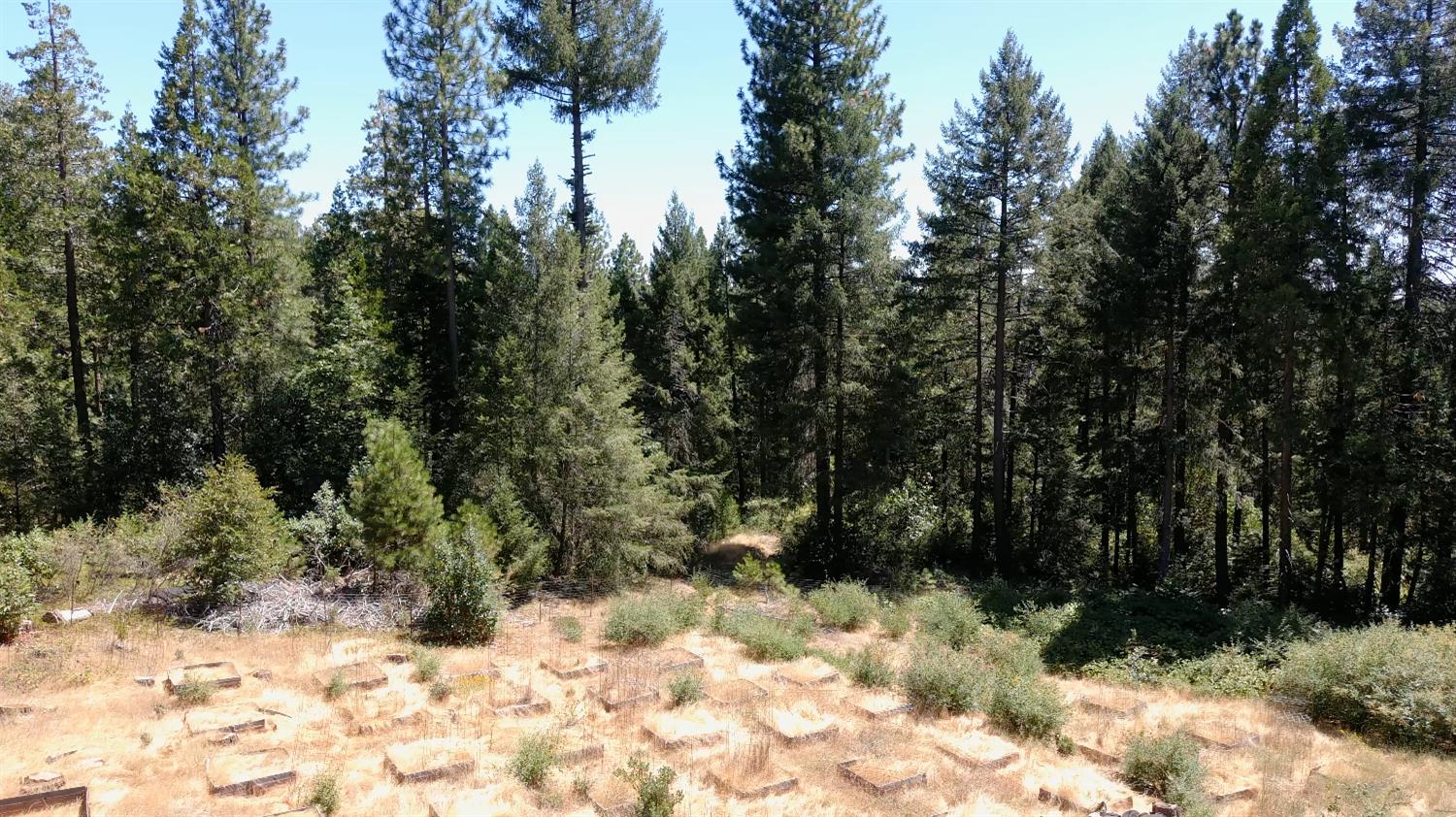 3772 Tin Ranch Road Georgetown, CA 95634 - Photo 10 of 13 a view of a yard covered in snow