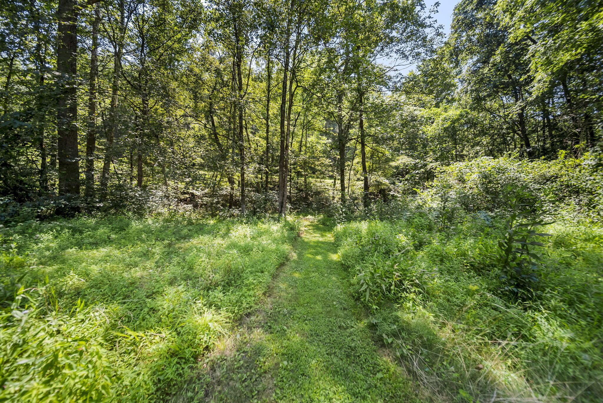35838 Scout Road Logan, OH 43138 - Photo 50 of 56 51-web-or-mls-DSC05493