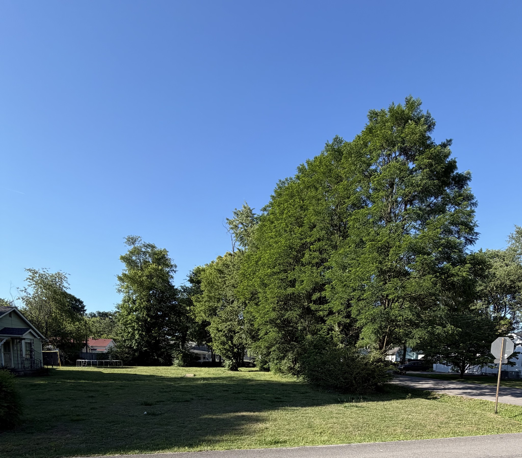 606 Peachtree Street Murfreesboro, TN 37129 - Photo 4 of 20