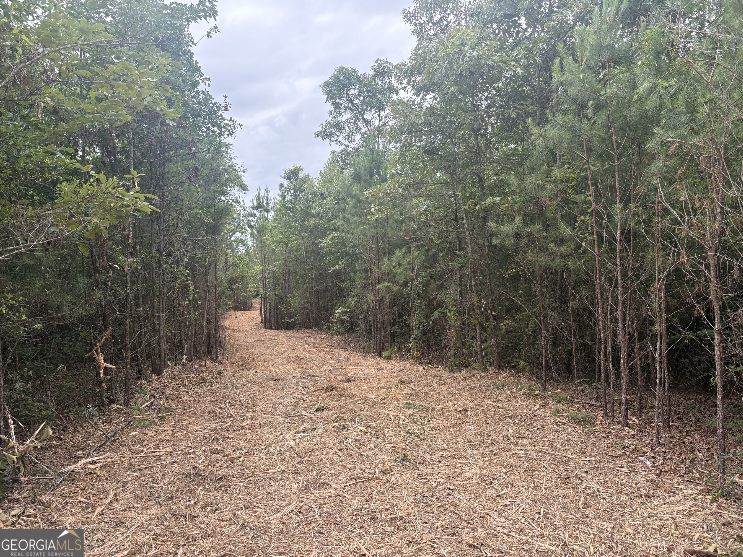 L9 North Indian Trail Road Sandersville, GA 31082 - Photo 15 of 19