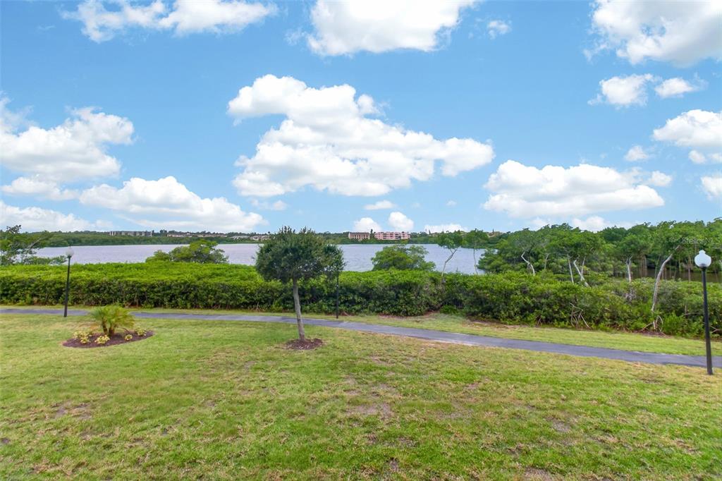 10002 Key Haven Road, Unit 204 Seminole, FL 33777 - Photo 51 of 73