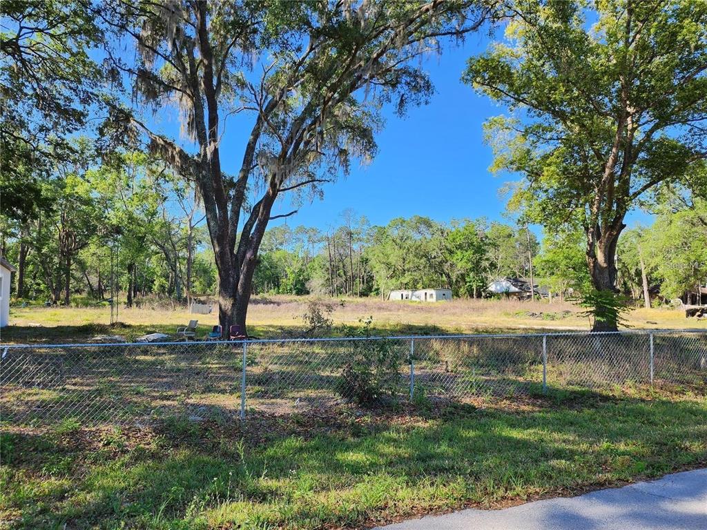4130 Vinson Road Lakeland, FL 33810 - Photo 5 of 8 a view of a trees in a yard