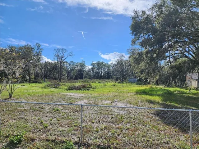 a view of field with large trees