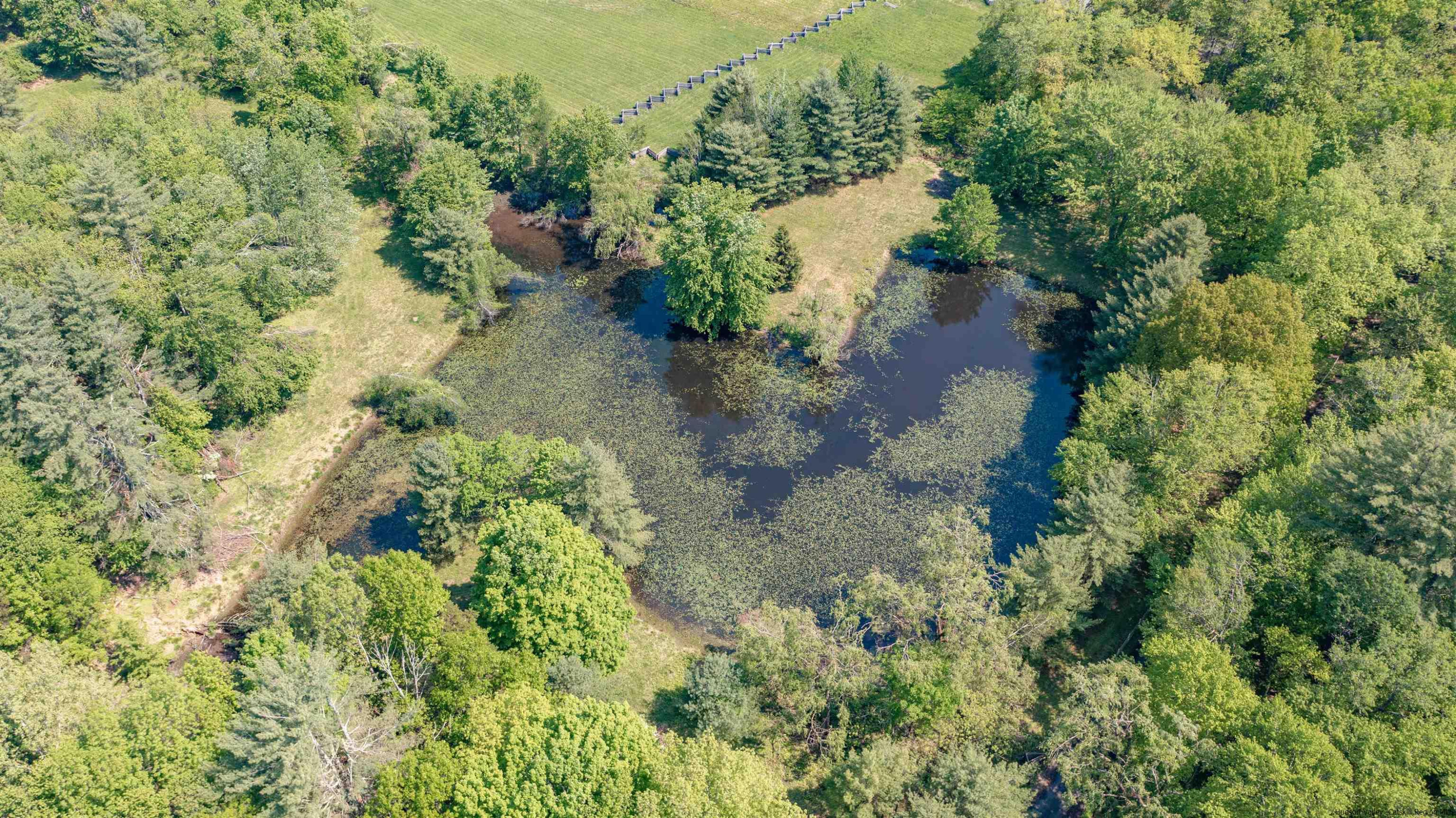 115 Buck Road Stone Ridge, NY 12484 - Photo 28 of 35 a view of a garden with plants