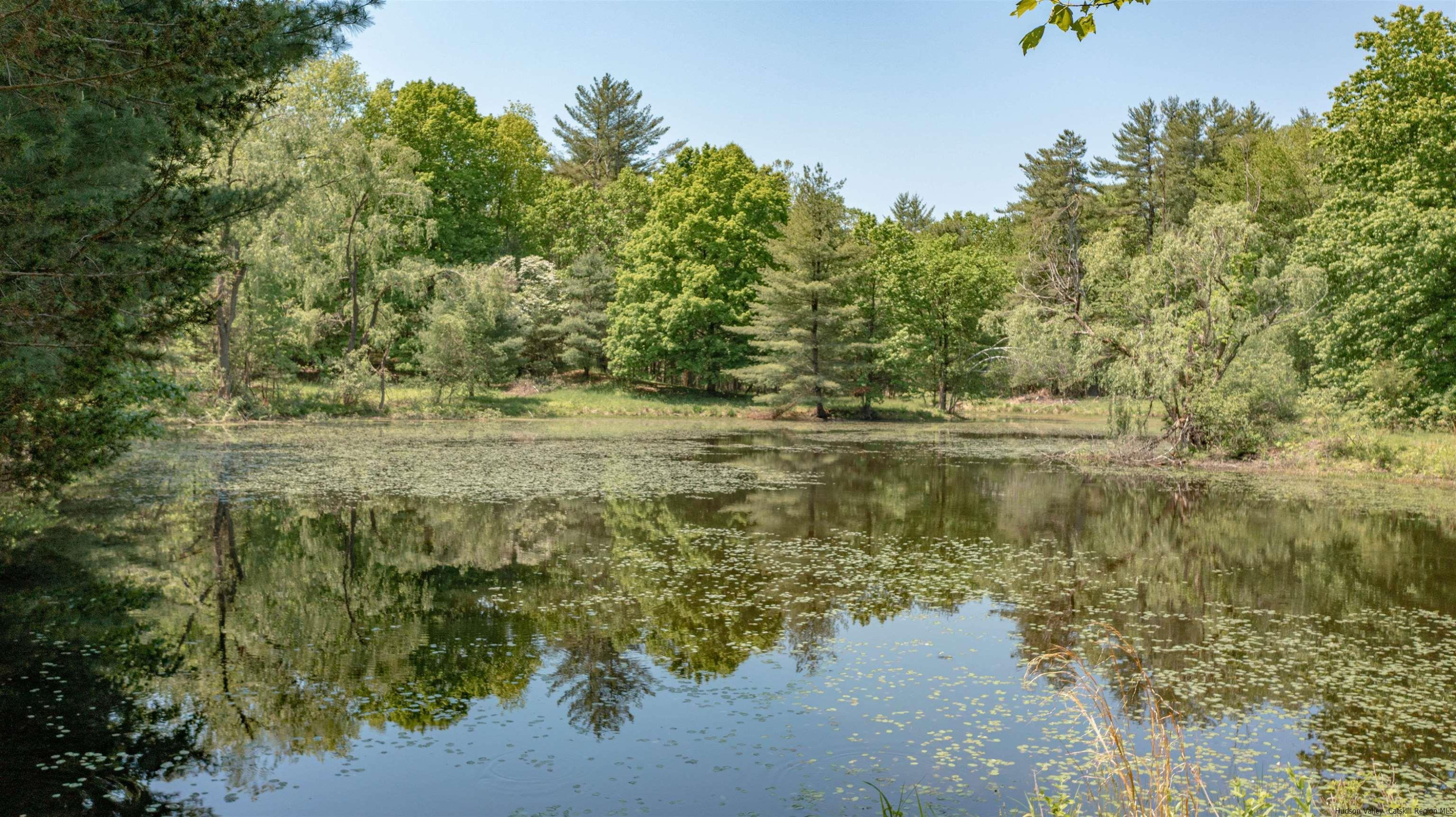 115 Buck Road Stone Ridge, NY 12484 - Photo 29 of 35 a view of a lake with a yard