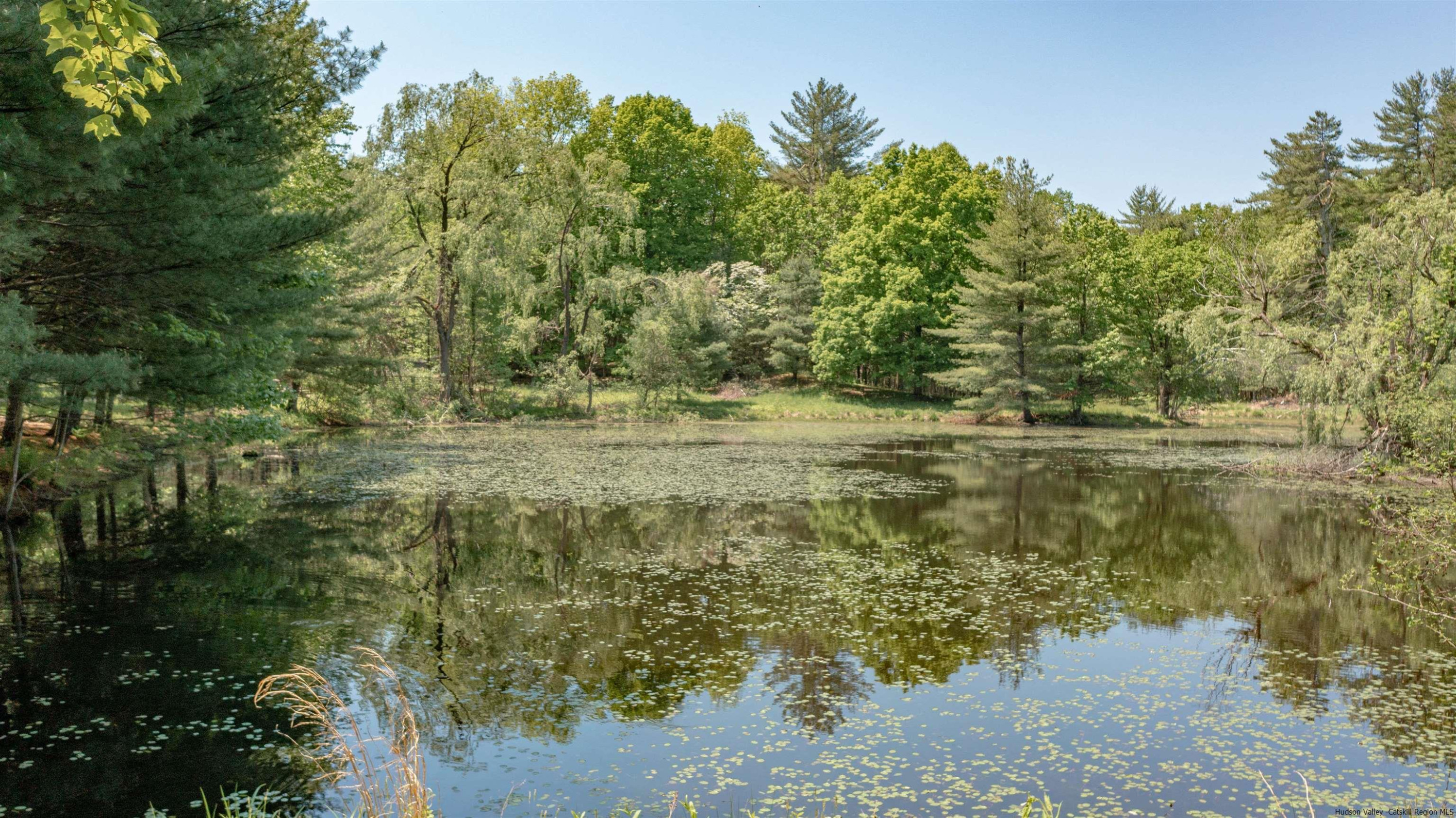 115 Buck Road Stone Ridge, NY 12484 - Photo 30 of 35 a view of a lake with a mountain
