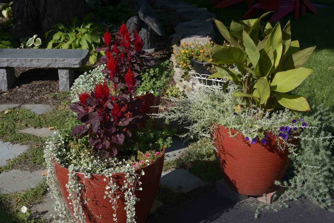 1005 Main Street Colchester, VT 05446 - Photo 10 of 35 Gallery Image 10