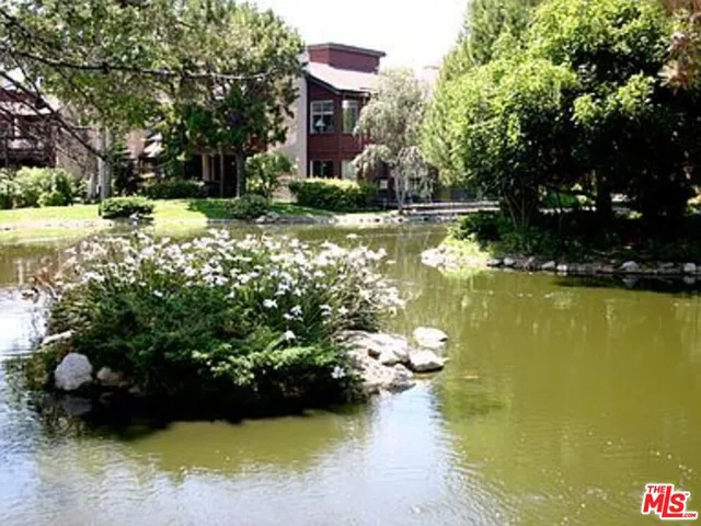 a view of a swimming pool with a garden