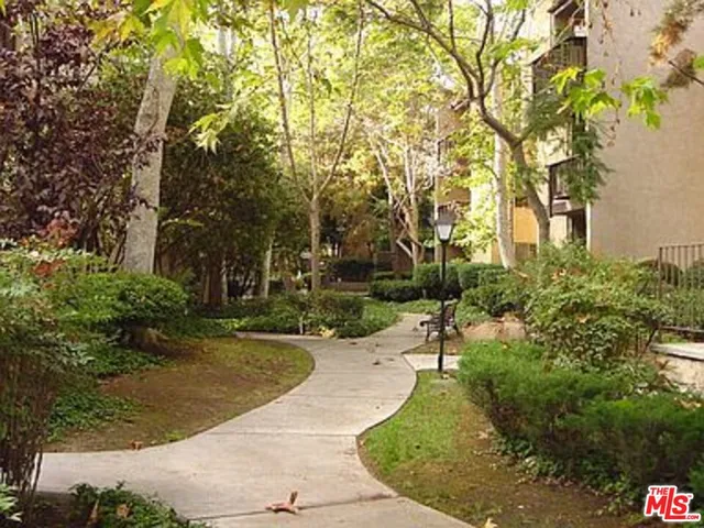 a view of a park with large trees