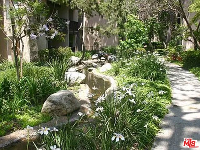 a view of a garden with plants