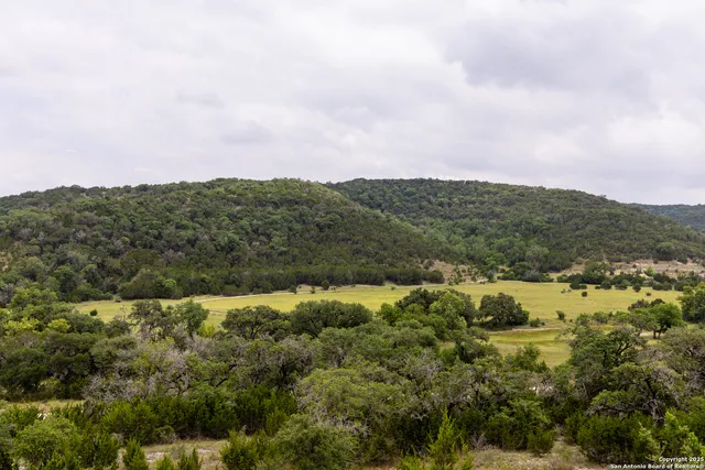 a view of a mountain in the distance in a field