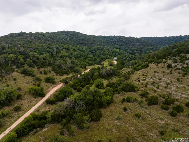 a view of a mountain with a forest