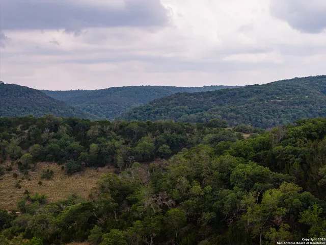 an aerial view of residential house and green space