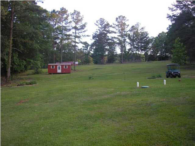104 Coon Hunters Road Brandon, MS 39042 - Photo 10 of 10 View of the back yard