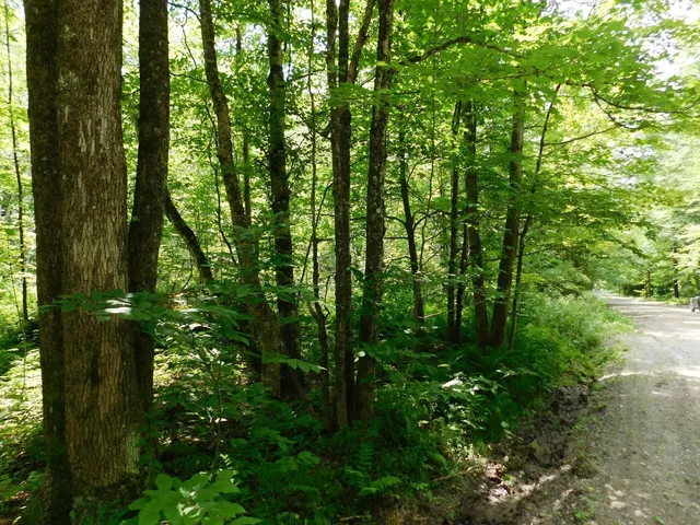 $219,900 | 0 Amidon Road, Montgomery Center, VT 05471