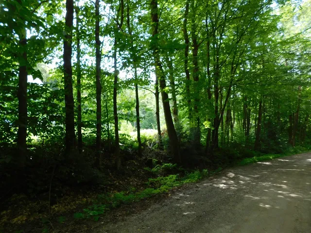 $219,900 | 0 Amidon Road, Montgomery Center, VT 05471