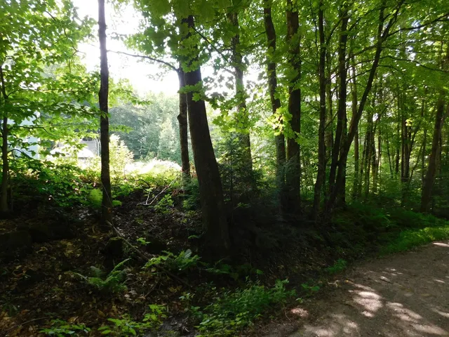 $219,900 | 0 Amidon Road, Montgomery Center, VT 05471