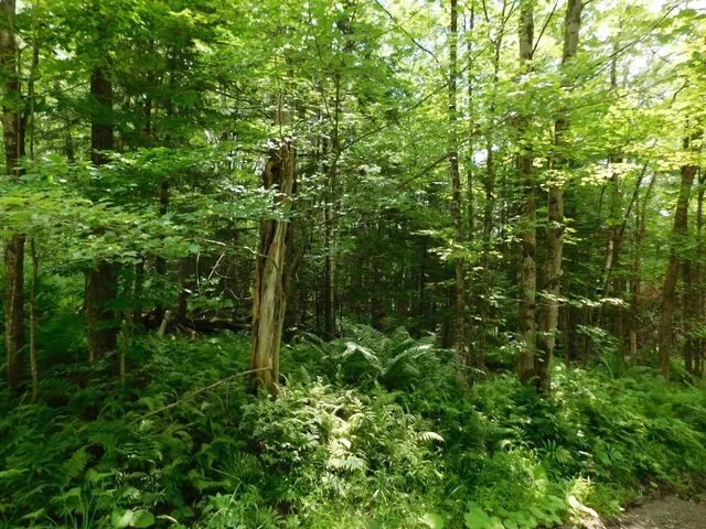 $219,900 | 0 Amidon Road, Montgomery Center, VT 05471