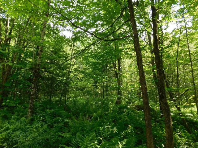 $219,900 | 0 Amidon Road, Montgomery Center, VT 05471