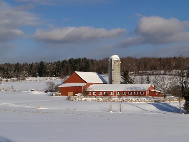 $219,900 | 0 Amidon Road, Montgomery Center, VT 05471