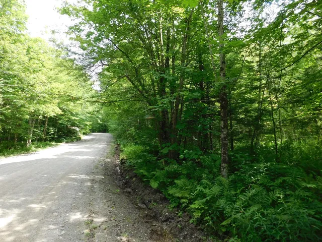 $219,900 | 0 Amidon Road, Montgomery Center, VT 05471