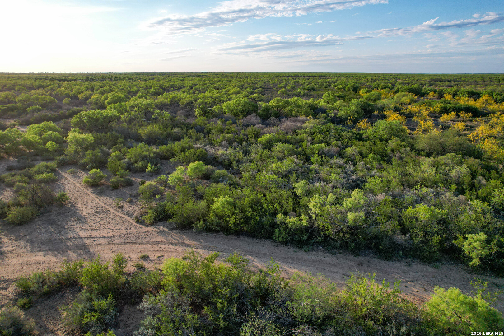 3472 Wilson Road Carrizo Springs, TX 78834 - Photo 12 of 75