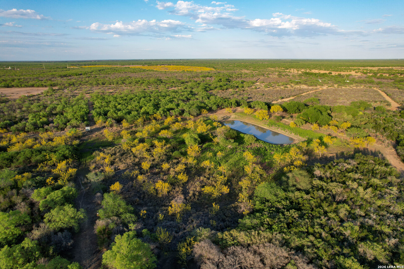 3472 Wilson Road Carrizo Springs, TX 78834 - Photo 13 of 75