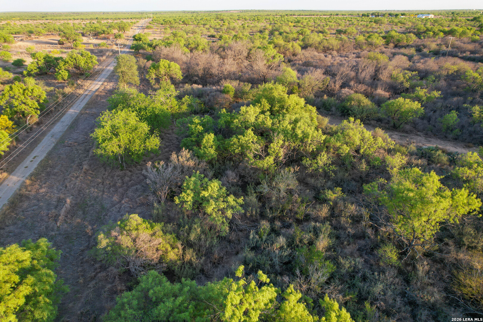 3472 Wilson Road Carrizo Springs, TX 78834 - Photo 16 of 75