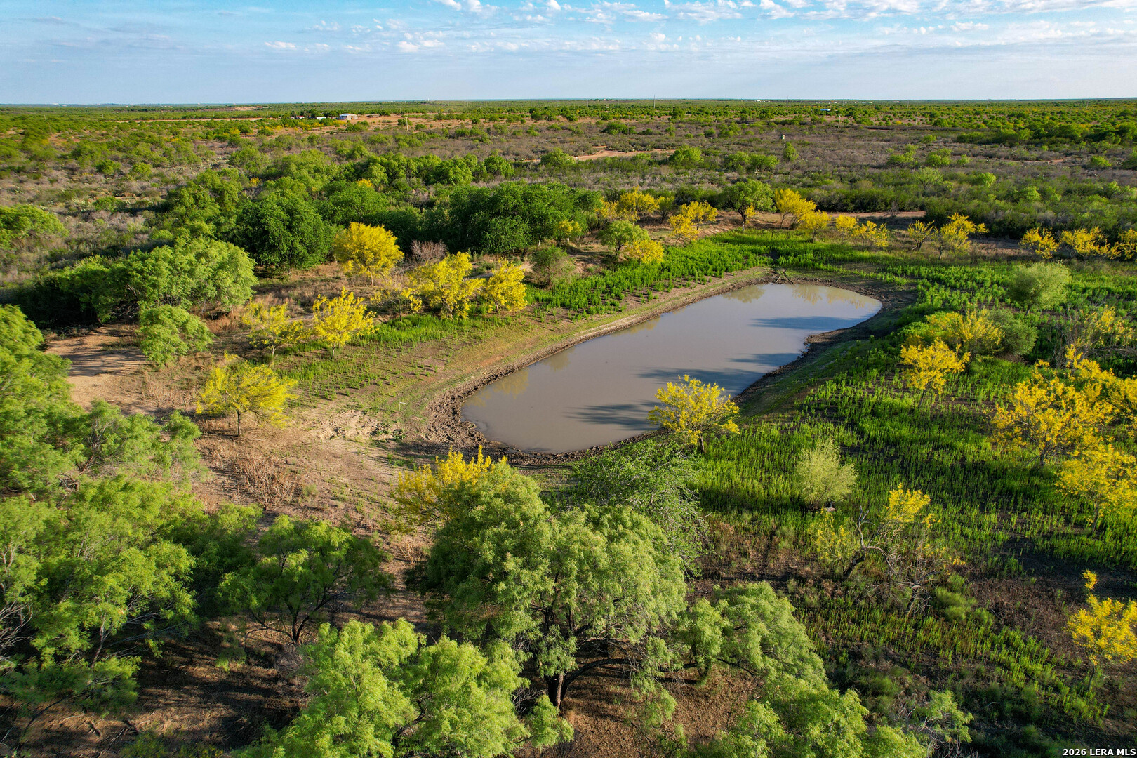 3472 Wilson Road Carrizo Springs, TX 78834 - Photo 2 of 75