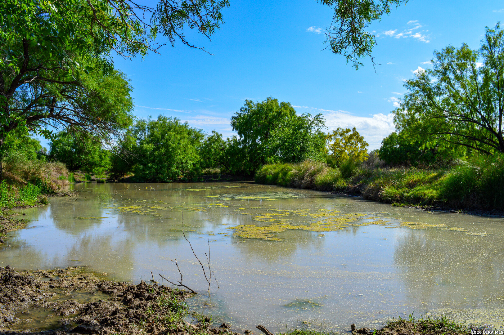 3472 Wilson Road Carrizo Springs, TX 78834 - Photo 34 of 75